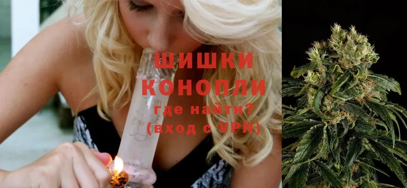 где найти наркотики  Тарко-Сале  shop формула  Бошки марихуана OG Kush 